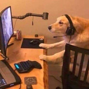 Dog On New Pc