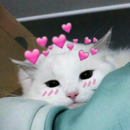 KawaiiCat