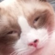Wyx