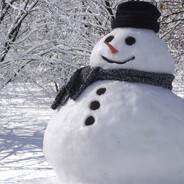 The Man Of Snow