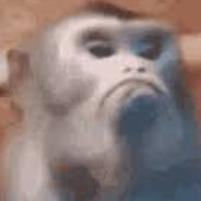 JOHNTHEMONKEY