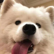 被爆捶的ikun avatar