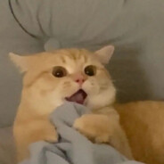 你是圣诞老人吗