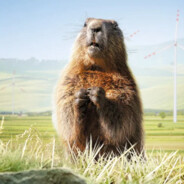 marmots like windmills