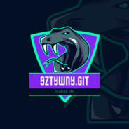 Sztywnygit NGNW.pl