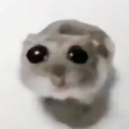 _𝕡𝕪𝕡𝕚𝕤𝕜_