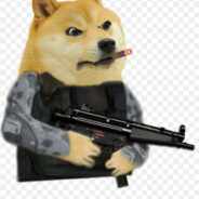 Shiba gonna kill your ass