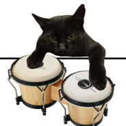 Bongo cat
