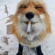 i eat cigarettes
