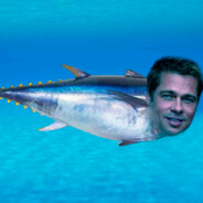 Brad Fish