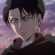 Levi