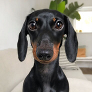 Aziz