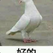 咕咕咕