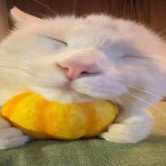 Les