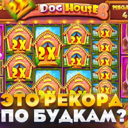 TheDogHouse