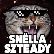 Szteady