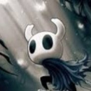 Hollow Knight