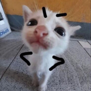 123