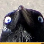 NIKIK