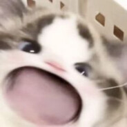 nuukie