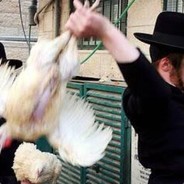 Pollo