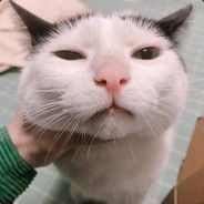 eievuim