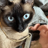 Avatar de sebamlopez22@gmail.com