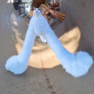 tigul