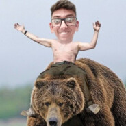ANIMAL