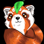 Redneck Jesus aka xGAMER4LIFEx