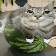 ItsFreny