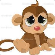 PlayerOfMonkey