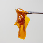 A Fat Dab