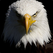 Steam profile picture for @chaser