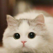 MMMMMNDJXRTTT
