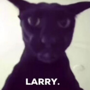 LARRY.