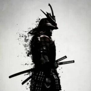 samurai313