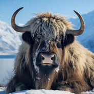 Аватар сообщества Steam