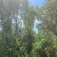 Summer
