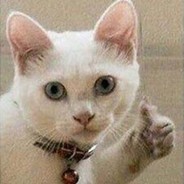 Niku