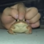 sapo