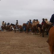 [M|475|M] STAR 4 ONE {A}
