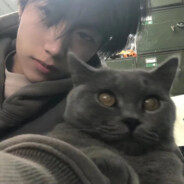 像只猪