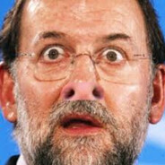 Rajoylander