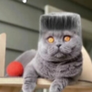 MISHO IS JEWISH