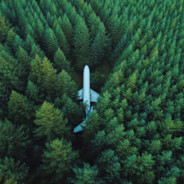 Plane in the forest