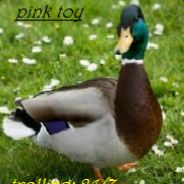 pink toy