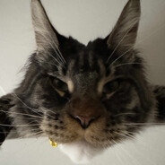 Avatar de la communauté Steam