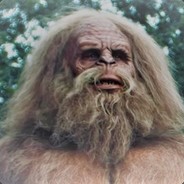 BIG BUSHWOOKIE