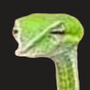 Wąż